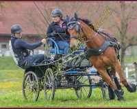 2POSIEUX 0460